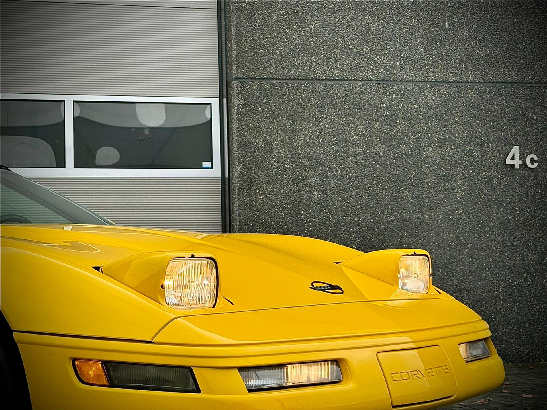 41044596-11.jpg