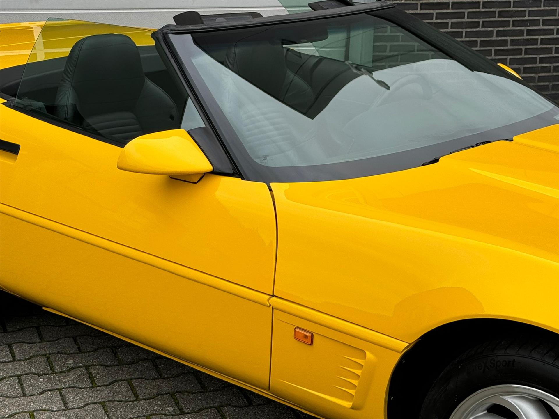 41044596-5.jpg
