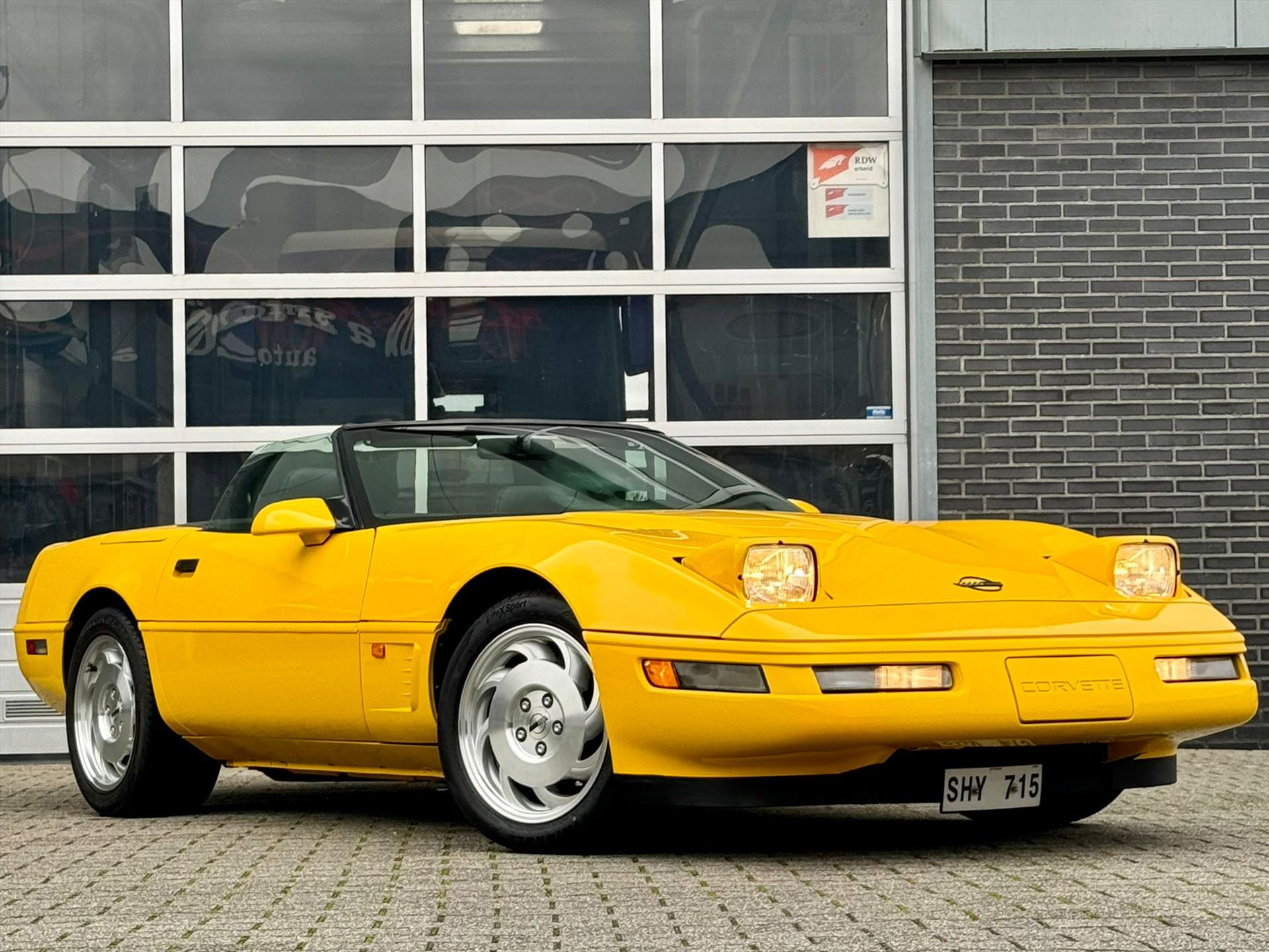41044596-8.jpg