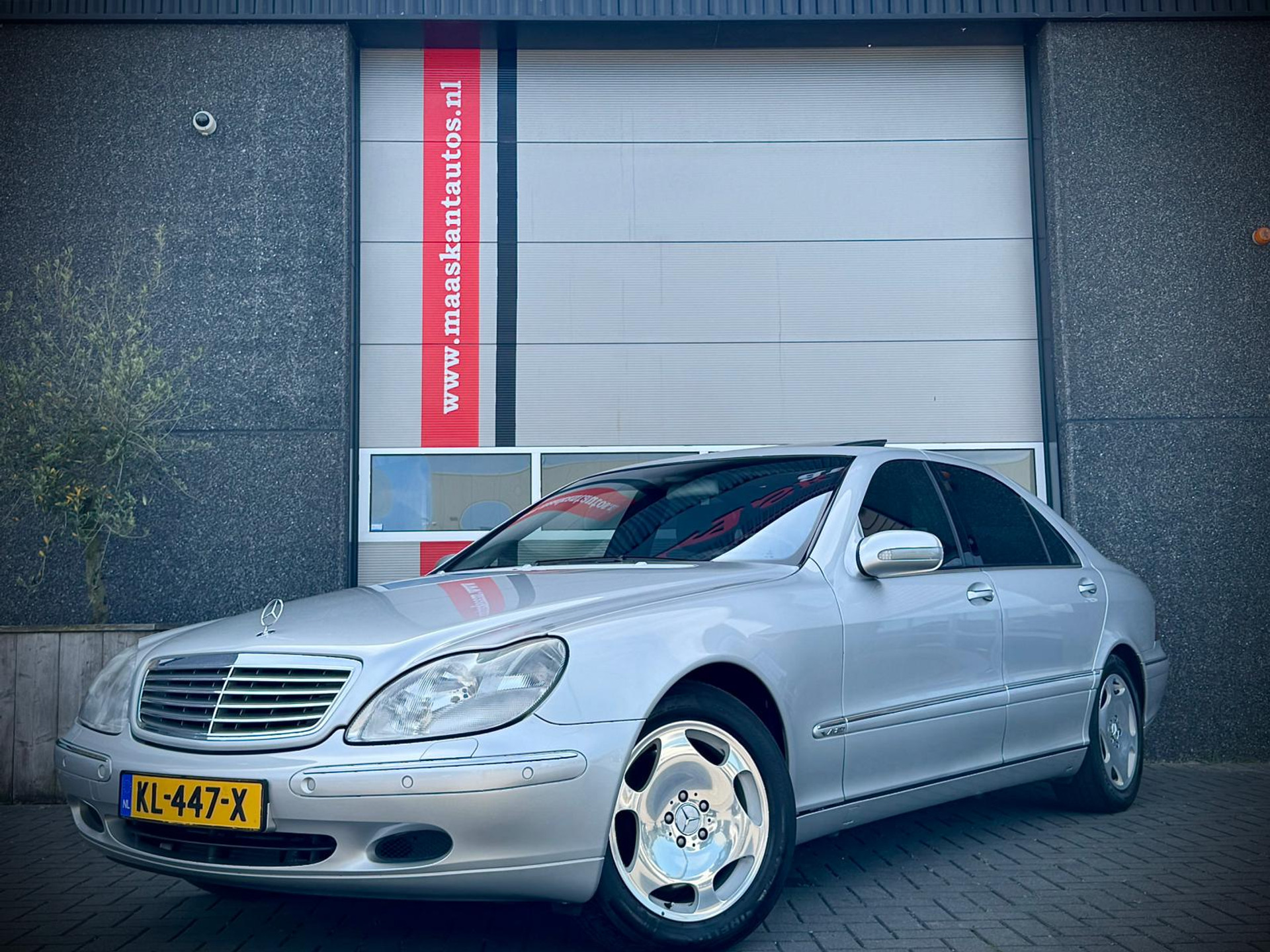 44649823-2.jpg