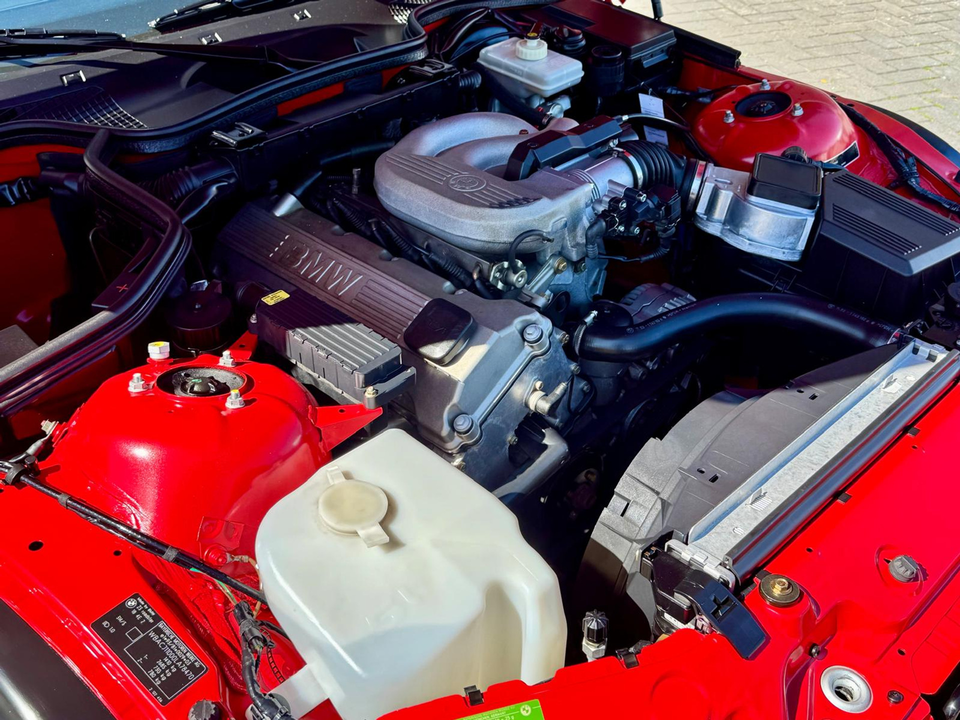 44911228-39.jpg