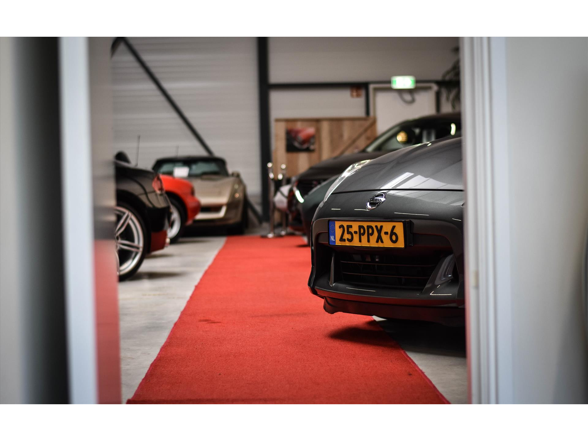 45853274-7.jpg