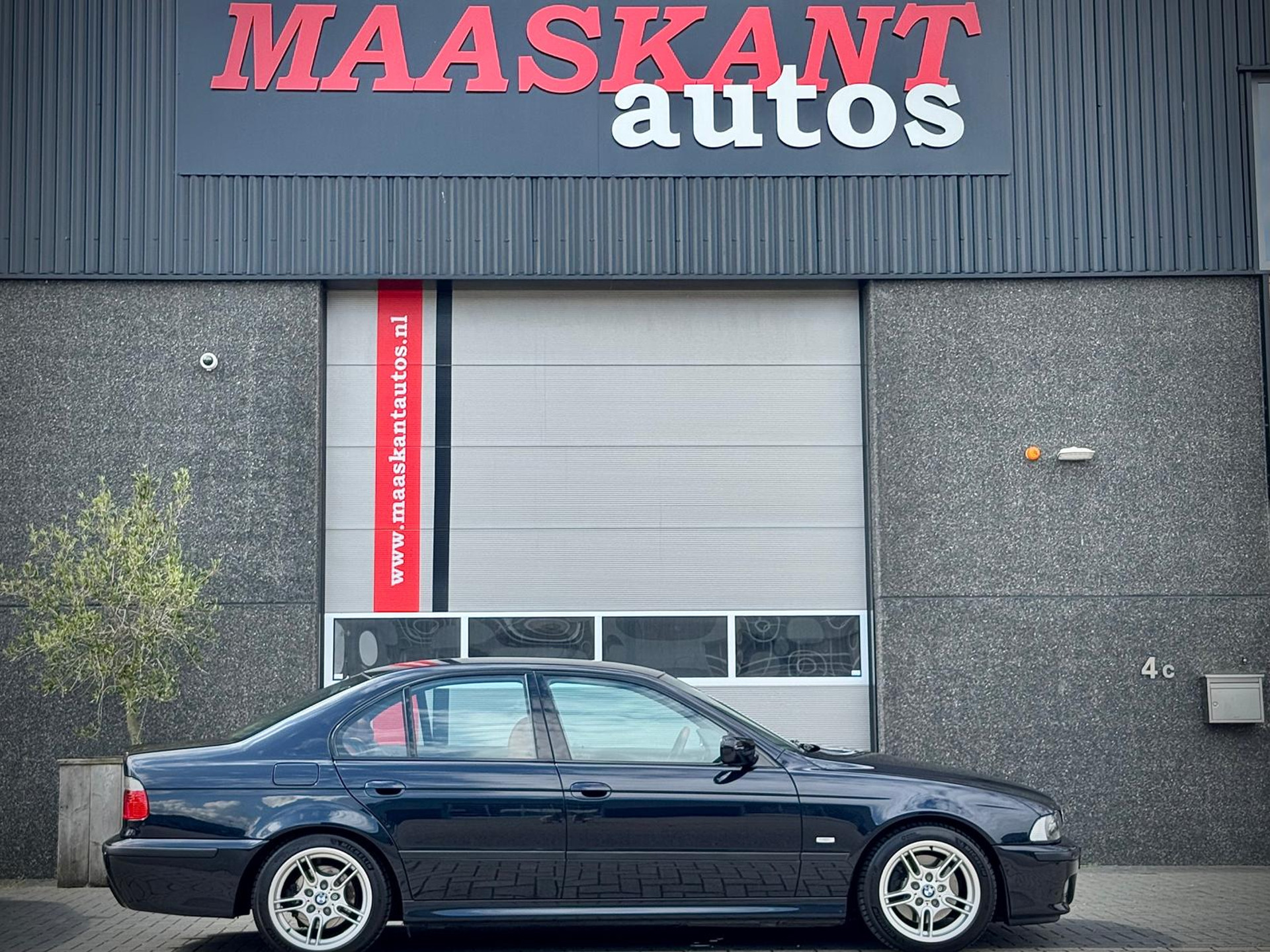 55081251