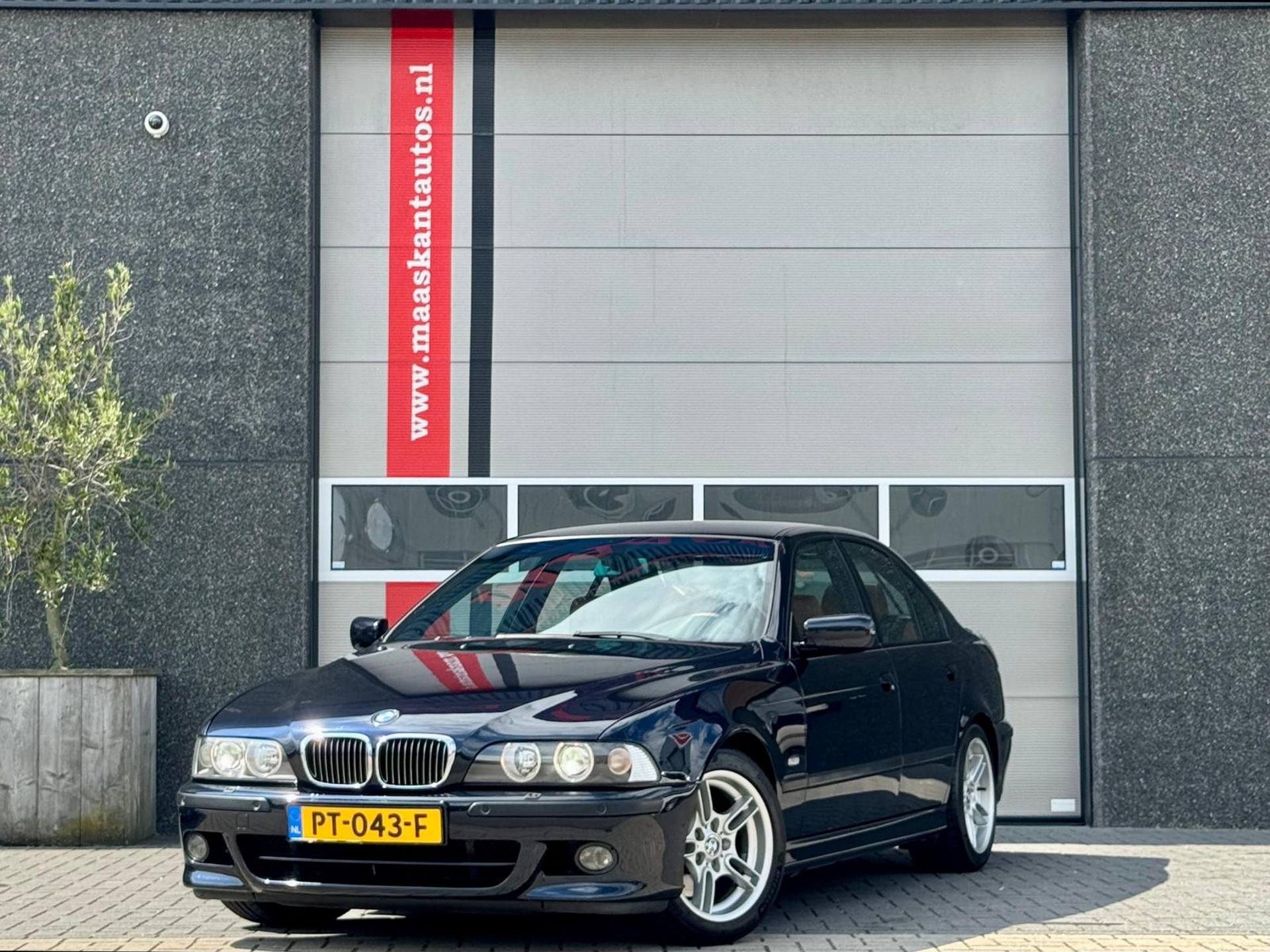 55081251-1.jpg