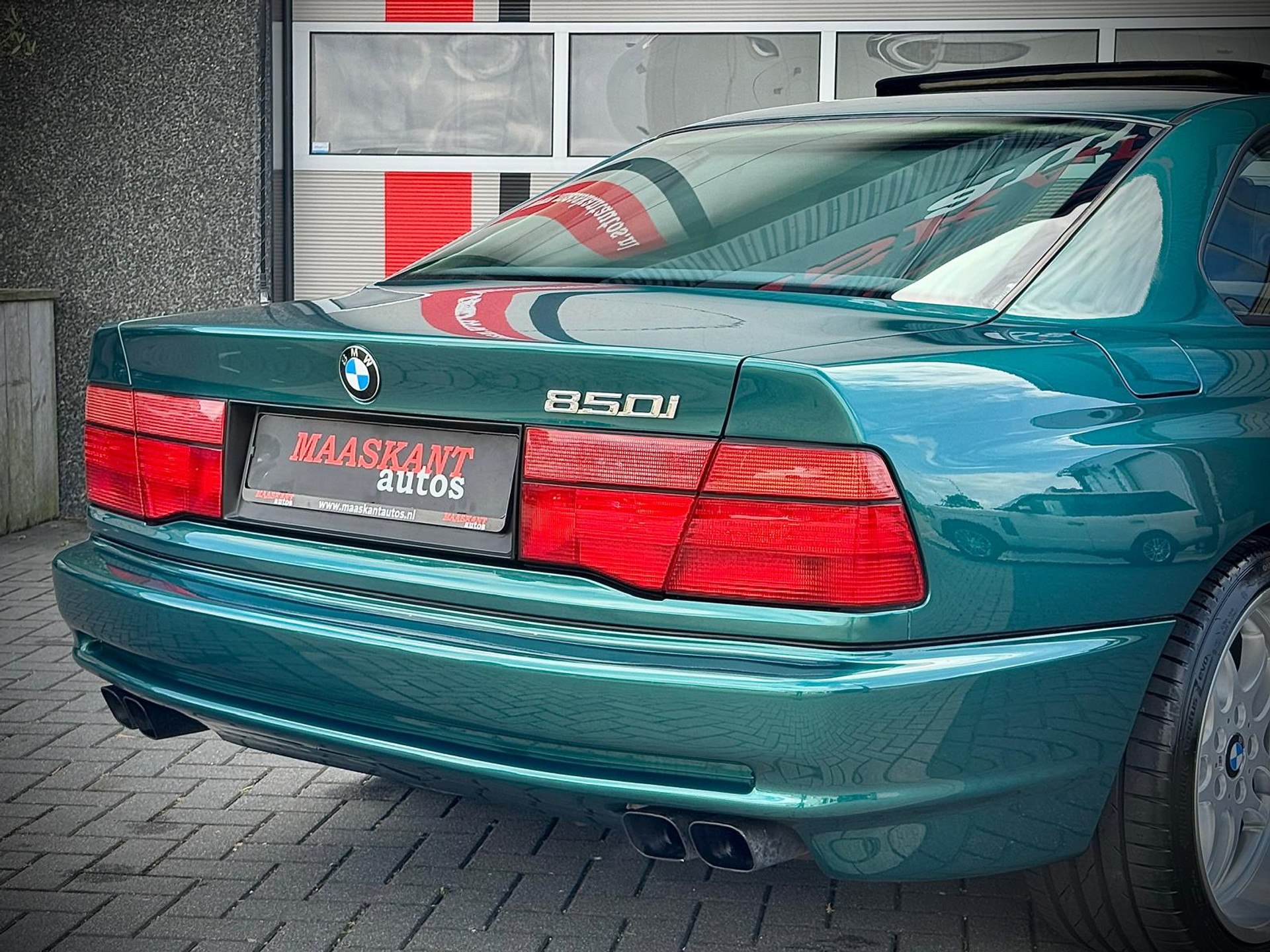 55442818-14.jpg