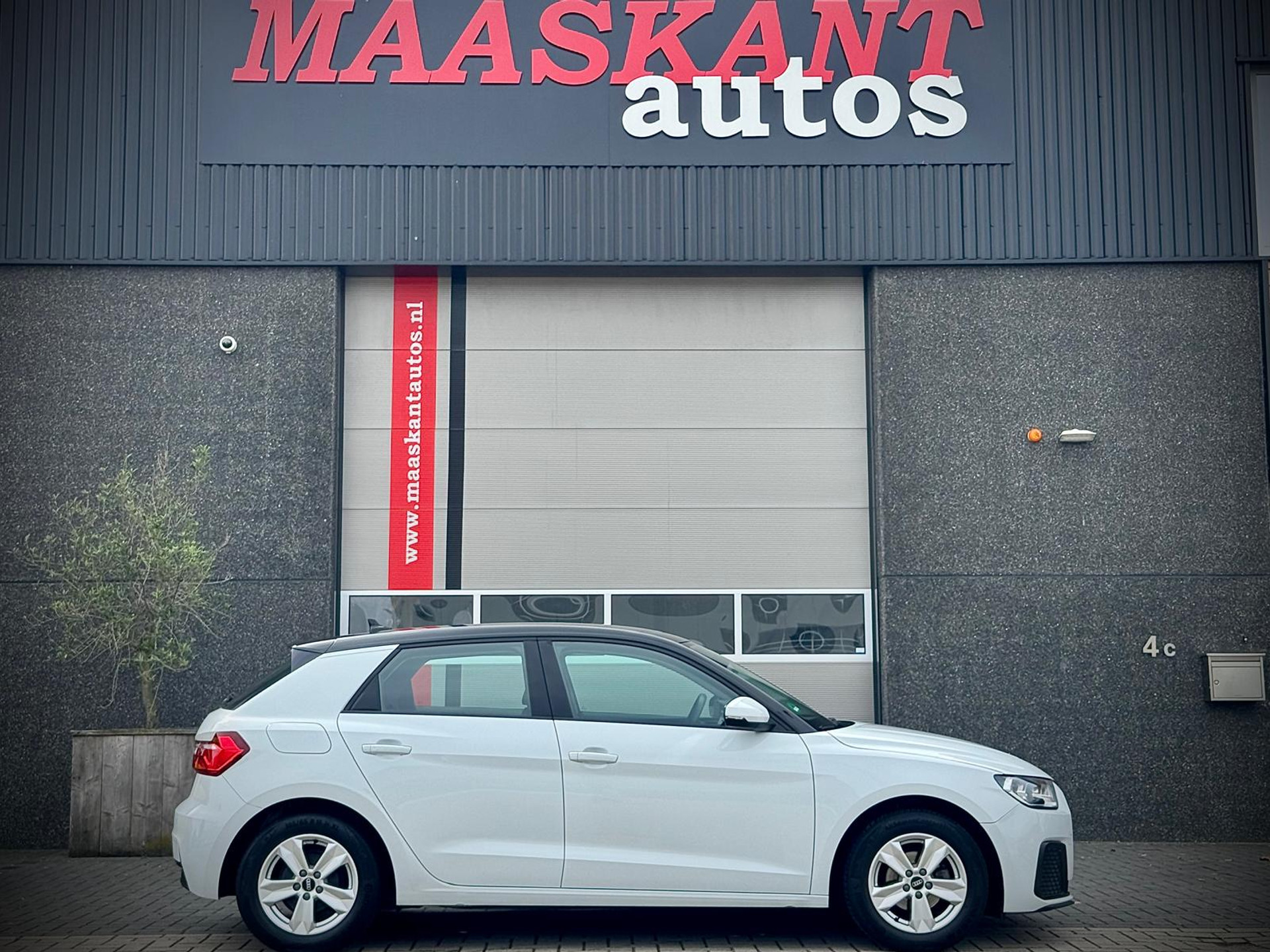 56376362